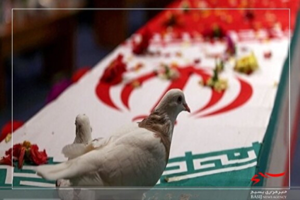 کشف پیکرمطهر شهید علی میر علی زاده